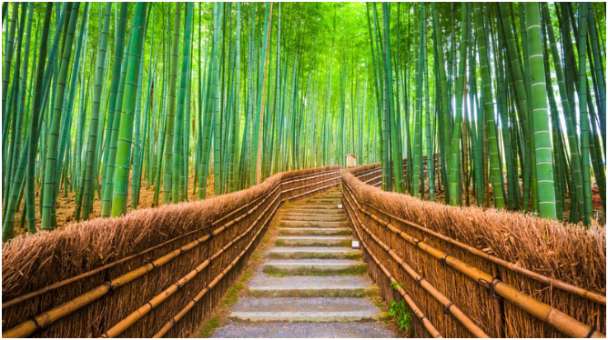 How did I plan my days without burning out?