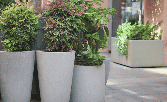 Enhance Outdoor Efficiency