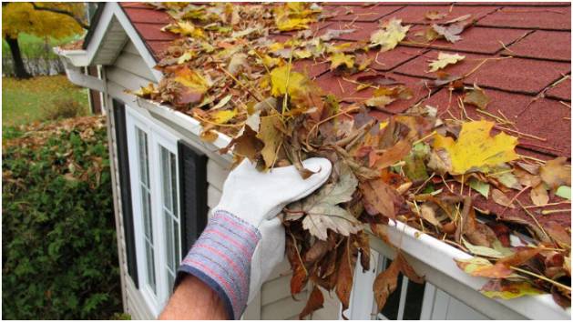 Gutter And Downspout Care